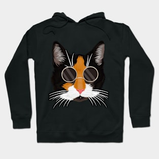 Cat with glasses Hoodie